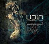 Underdamped System - Phantom Pain