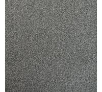 Underfoot Carpet Felt Backed 7mm Twist Pile Lounge Stairs Bedroom Comfy Carpet (Metallic)