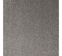 Underfoot Durable Twist Pile Carpet | Action-Backed Carpet | Bleach-Cleanable & Stain-Resistant | Elegant Carpets Colours (Metal, 4m x 3m)