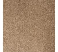 Underfoot Durable Twist Pile Carpet | Action-Backed Carpet | Bleach-Cleanable & Stain-Resistant | Elegant Carpets Colours (Beige, 5m x 4m)