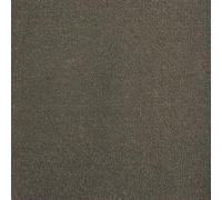 Underfoot Durable Twist Pile Carpet | Action-Backed Carpet | Bleach-Cleanable & Stain-Resistant | Elegant Carpets Colours (Armour, 4m x 5m)
