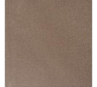 Underfoot Felt-Backed Carpet - Durable Twist Pile Carpet Bleach-Cleanable & Stain-Resistant | Easy Fit DIY Friendly Carpets (Taupe, 5m x 4m)
