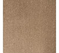 Underfoot Felt-Backed Carpet - Durable Twist Pile Carpet Bleach-Cleanable & Stain-Resistant | Easy Fit DIY Friendly Carpets (Biscuit, 5m x 3m)
