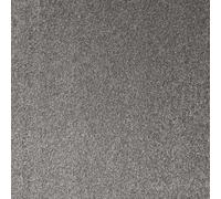 Underfoot Felt-Backed Carpet - Durable Twist Pile Carpet Bleach-Cleanable & Stain-Resistant | Easy Fit DIY Friendly Carpets (Steel, 5m x 2m)