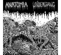 Undergang & Anatomia - Split [VINYL]