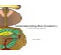 Understanding Bee Anatomy: A Full Colour Guide by Ian Michael Stell (2012-10-15)