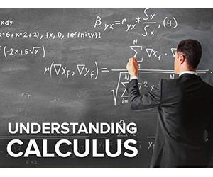 Understanding Calculus: Problems, Solutions, and Tips