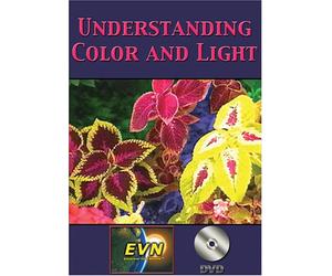 Understanding Color and Light [DVD] [Region 1] [US Import] [NTSC]