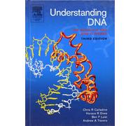 Understanding DNA: The Molecule and How it Works