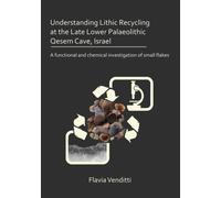 Understanding Lithic Recycling at the Late Lower Palaeolithic Qesem Cave, Israel : A functional and chemical investigation of small flakes