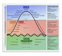Understanding Nervous System Regulation Educational Chart for Calm and Focus Canvas Wall Art for Wellness Office or Study Space(Unframed,12x18inch(30x45cm))