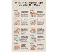 Understanding Your Cat Body Language Chart Poster Home Decorative Gift Idea(Unframed,16x24inch(40x60cm))