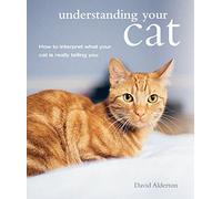 Understanding Your Cat: How to interpret what your cat is really telling you