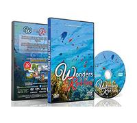 Underwater DVD - Wonders of the Red Sea - Explore Colorful Scenery of Fishes, Corals and Sea Turtles in Amazing Crystal Clear Ocean Seawater