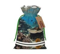 Underwater Ocean View Print Drawstring Pouch For Gifts,Reusable Adorable Gift Bags,Perfect For Jewelry And More