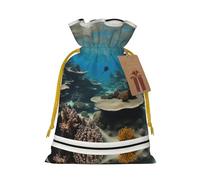 Underwater Ocean View Print Drawstring Pouch For Gifts,Reusable Adorable Gift Bags,Perfect For Jewelry And More