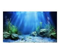 Underwater Scene Aquarium Background Under The Sea Coral Reefs Fish Tank Background Ocean Bottom Scene Sand Rocky Outcrops Terrarium Backgrounds Tropical Undersea Life View Tank Backgrounds 24x16in