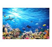 Underwater Scene Backdrop Under The Sea Coral Reef Underwater Marine Animals Photography Background Ocean Sea World Panoramic Seascape View Backdrop for Kids Children Birthday Photo Props 7x5ft