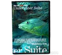 Underwater Suite - Not For Kids Only
