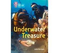 Underwater Treasure : Band 13/Topaz
