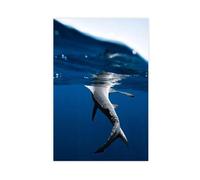 Underwater Whale Marine Animal Art Canvas Poster Bedroom Decor Landscape Office Room Decor Gift 20x30inch(50x75cm)
