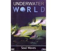 Underwater World: Soul Waves [DVD] [2007]