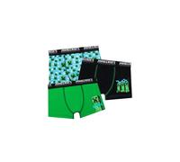 Underwear 3 pack Minecraft Multi 5-6 Years