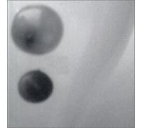 Underworld - 100 Days Off + Bonus Disc