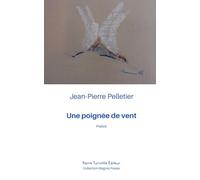 Une poignée de vent