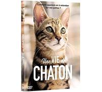 UNE VIE DE CHATON
