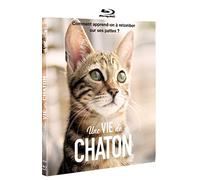 UNE VIE DE CHATON [Blu-ray]