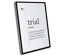 UnFramed Wall Art,Define Wall Decoration,Trial Definition Print Funny Lawyer Gift Law Art Lawyer Office Decor Coworker Gift Judge Gift Dictionary Art Typography Home,12x16 Inch UnFramed Wall Art