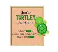 UNGENT THEM Turtle Gifts for Women Good Luck Charms Birthday Small Christmas Stocking Stuffers Turtle Lovers Cute Stuff Things for Teens Grandkids Kids