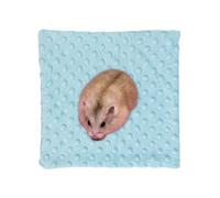 Ungtyb Small Animal Blanket, Soft Fleece Hamster Bedding, Washable Cozy Sleep Pad for Chinchilla, Hedgehog, Guinea Pig, Cage and Play Area Use, 28 x 28 x 0.5 cm 42 g Pink Blue