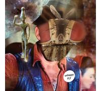 Unhappy Fly : Unhappy Fly VINYL 12" Album (2023) NEW Fast and FREE P & P
