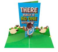 Unhinged ‘No One Like Ewe’ 3D Pop-Up Card Funny Birthday Card Anniversary Card Valentines Day Card Cards For Him Cards For Her Funny Friendship Card Silly Joke