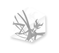 Unicorn Core 75 Plus Dart Flight, Mantis Silver, Multi-Colour, One Size