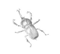 Unicorn,Holy Beetle Brooch Pin,Handmade,Designer,Sterling Silver Silver,14K Gold-Tone Plated,Realistic for Mom,Wife,Girlfriend