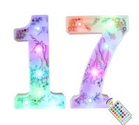 Unicorn LED Light Up Numbers, 18 Color Changing Number Lights 17th Birthday Decorations, Unicorn Gifts for Girls Birthday Party Anniversary Remote Night Light Christmas Wall Table Decor - Number 17