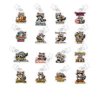 UNICRAFTALE 16Pcs Raccoon Theme Kindle Charms Acrylic Dust Plug Decor with Type C Compatible E-Reader Dust Plug Charm for Compatible Kindle Decorating Accessories Book Lover Readers
