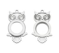 UNICRAFTALE Floating Charm Locket Charm Stainless Steel Locket Pendants Glass Locket Charm Photo Frame Locket Pendants Living Memory Pendant DIY Accessories for Jewelry Necklace Making, Stainless
