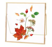 UNICRAFTALE Golden Glass Pressed Flower Frames Handmade Double Glass Frames Tabletop Photo Frame Rectangle Metal Floating Pictures Frame for Home Office Plant Specimen 20x20cm