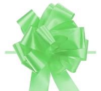 Unifizz 20pcs 5 Inch Light Green Pull Bow Big Gift Bows Solid Color Plastic Flower for Wedding Car Baskets Presents Christmas Party Decoration