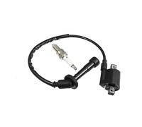 Unifizz Car Ignition Coil Motorcycle Racing Spark Plug Kit for Kawasaki KFX 400 for Yamaha YXR660 Rhino 660 Grizzly 660R