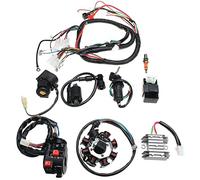 Unifizz Lgnition Complete Stator CDI Kit for ATV Quad 150/200/250cc Lgnitions Electric Wiring Beam