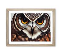Unimaginable Owl H1022 Framed Print for Living Room Bedroom Home Office Décor, Wall Art Picture Ready to Hang, Oak A3 Frame (46 x 34 cm)