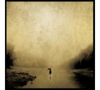 THE BOXER REBELLION - UNION (GOLD SWIRLED VINYL) [VINYL]