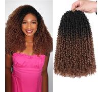 Unionbeauty 12 Inch Pre-twisted Yanky Twists Crochet Braids Hair 8Pcs Pre-looped Ombre Brown mini Senegalese Twist Micro Passion Twist Crcochet Hair with Curls Synthetic Crochet Hair Extensions 1B/30#
