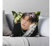 UNIQ Wang Yibo Actor Pillowcase Polyester Linen Velvet Creative Zip Decorative Sofa Cushion Case