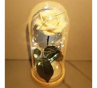 uniqicon Galaxy Artificial Flower Rose Beauty and The Beast, Eternal Present, Dome, Romantic Gift for Her Women Wife Grandma Nan Girlfriend Sister Daughter Mother's Day, 101781128_1FW|NoEngrave